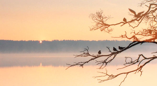 Keys to the Secrets of Life. Achievement of Immortality