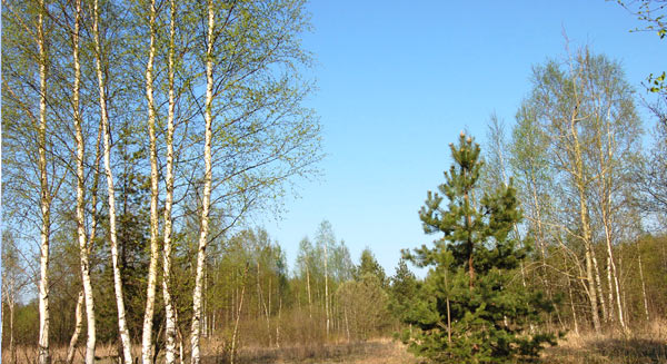 Keys to the Secrets of Life. Achievement of Immortality